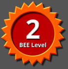 2 BEE Level